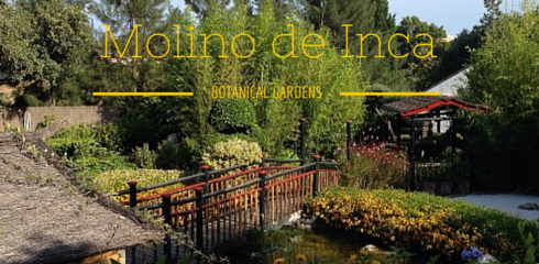 Jardín Botánico Molino de Inca