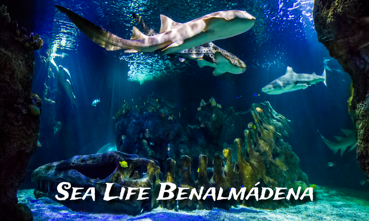Sea Life Benalmádena